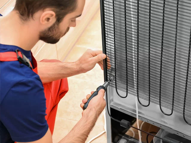 Common Issues and Solutions on Refrigerators
